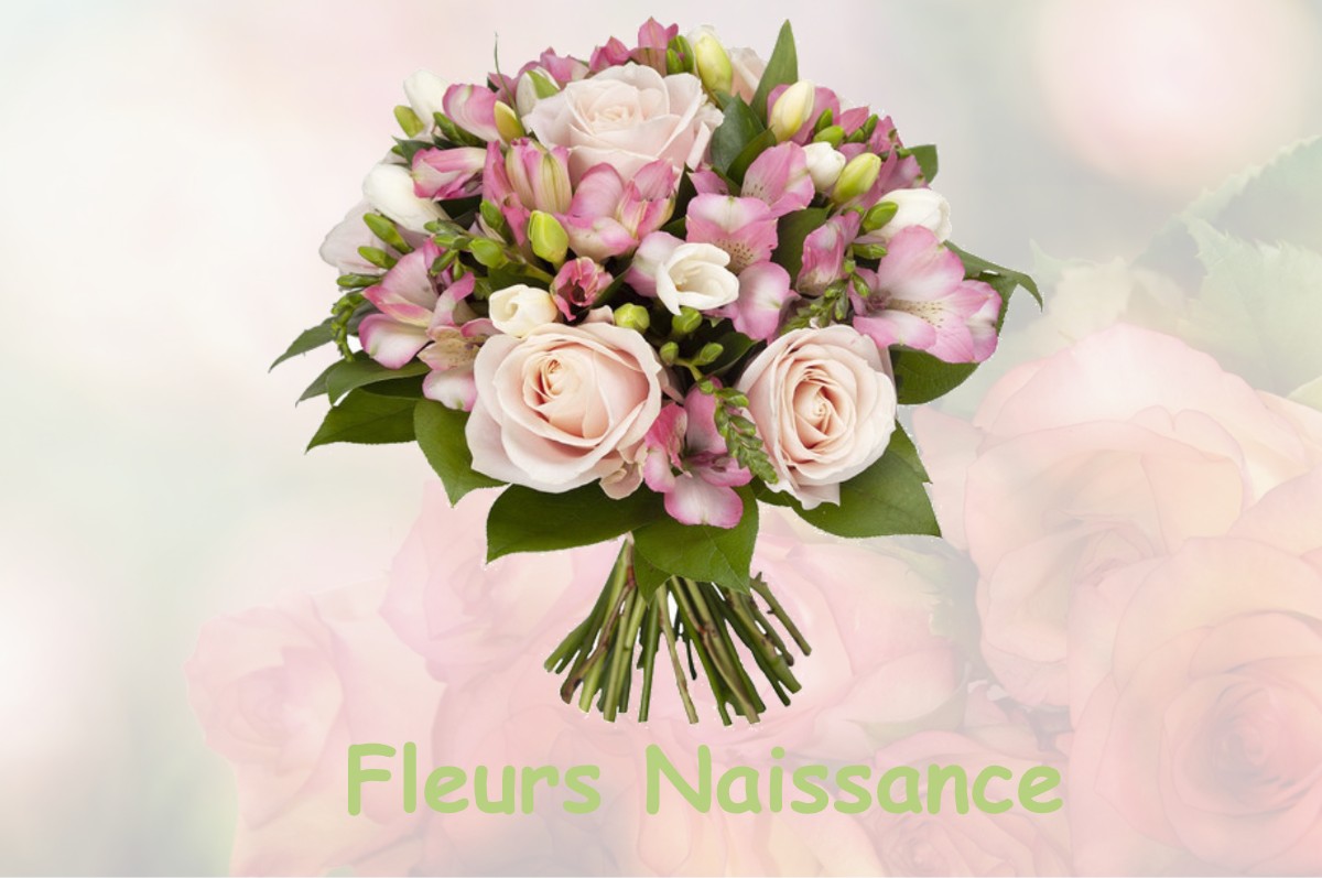 fleurs naissance BAUME-LES-MESSIEURS