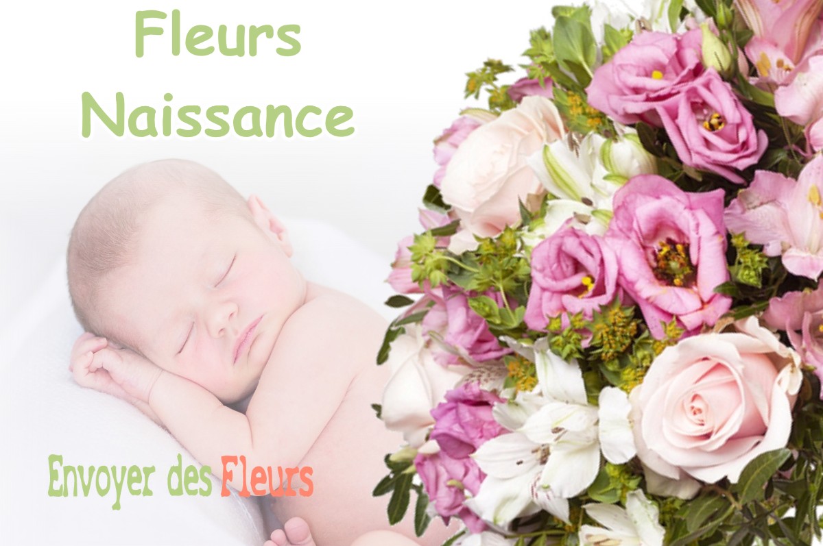 lIVRAISON FLEURS NAISSANCE à BAUME-LES-MESSIEURS